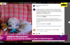 Bloque de mascotas en Ensiestados