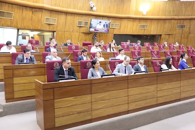 Audiencia pública sobre la Ley del voluntariado desarrollada esta mañana.