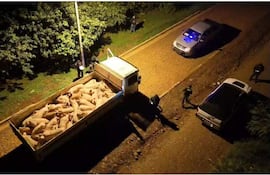 Animales porcinos presumiblemente ingresado de contrabando