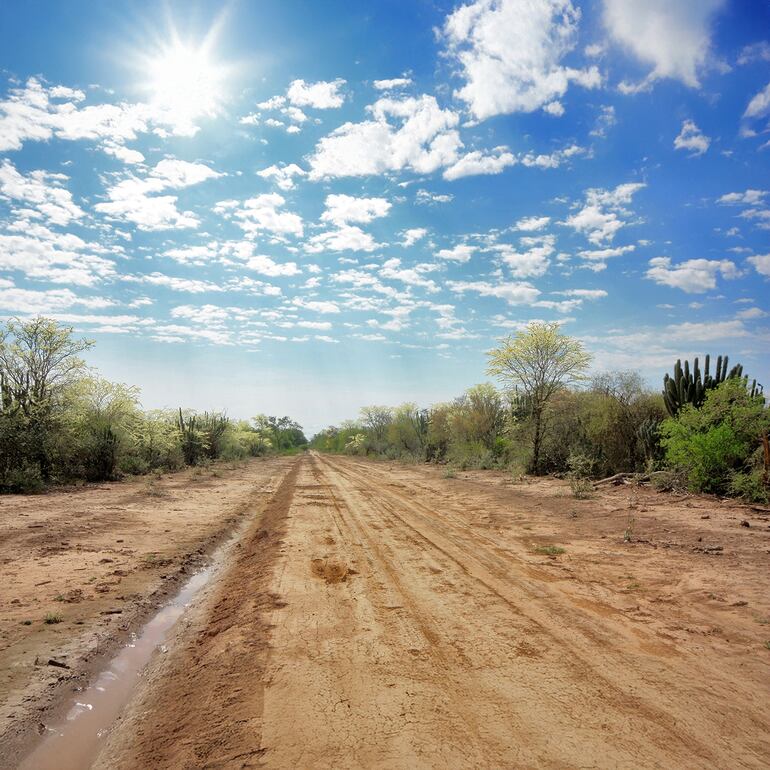 El paisaje chaqueño presenta una belleza única.
