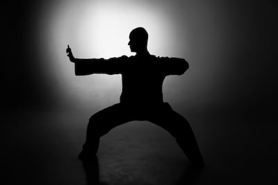Kung fu.