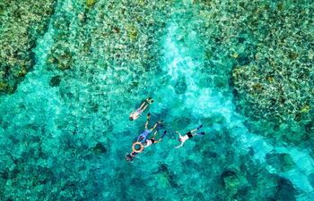 Palm Cove fue catalogada como la mejor playa del mundo.