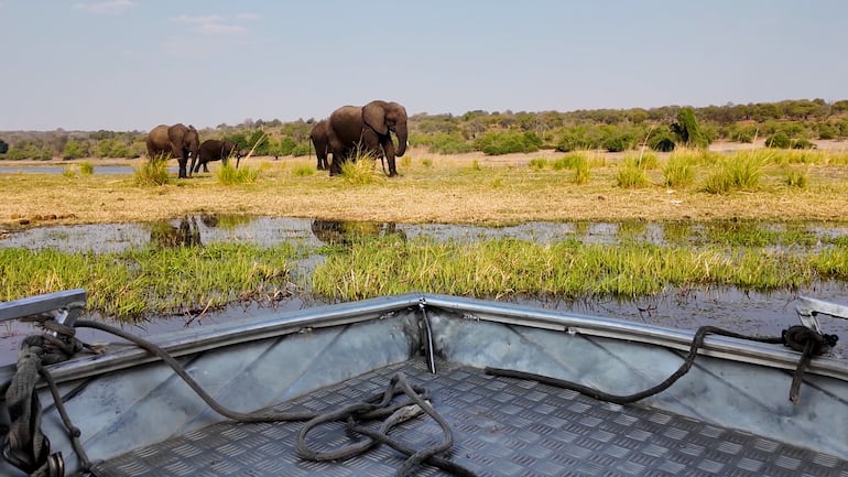 Okavango, Botsuana.