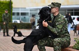 El soldado colombiano y adiestrador canino Jhon Alexander Beltrán acaricia a Polo, un perro del programa de apoyo emocional "Fuerza Peluda" para la rehabilitación de soldados heridos en combate, en el Hospital Militar de Bogotá.