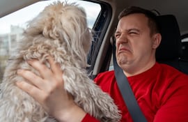 Hombre pone cara de asco al oler el aliento de su perro.