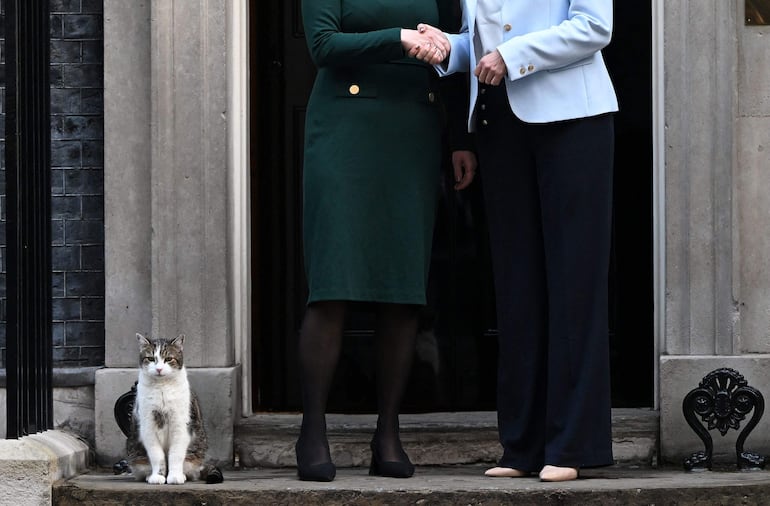 Larry, el gato del Número 10, observa mientras la primera ministra británica Liz Truss (C) y la primera ministra danesa Mette Frederiksen (R) posan para una fotografía frente al número 10 de Downing Street, en el centro de Londres, el 1 de octubre de 2022.