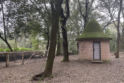 El búnker real de la familia Saboya, escondido bajo una colina de la Villa Ada de Roma, ha reabierto este viernes al público como una joya de la arquitectura bélica de la II Guerra Mundial, ya que permitía al monarca entrar en coche hasta las puertas del refugio para protegerse de los bombardeos. Tras décadas de abandono, vandalismo y cierres intermitentes, este refugio construido entre 1940 y 1942 para el rey Vittorio Emanuele III vuelve a ser accesible de forma permanente.