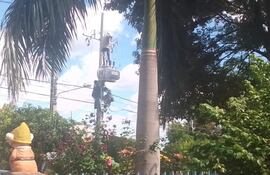 Un trabajador tercerizado de la Ande realizando trabajos en una columna.