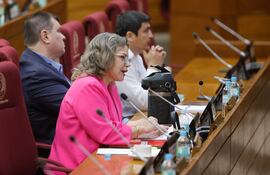 La congresista Lilian Samaniego (i), habla durante una sesión en la Comisión Pemanente, en Asunción (Paraguay).