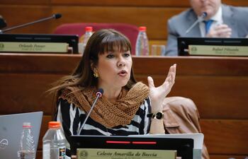 La senadora Celeste Amarilla (PLRA), presentó el proyecto de ley que modifica la ley de la Senabico para entregar las obras de arte comisadas al Museo Nacional de Bellas Artes.