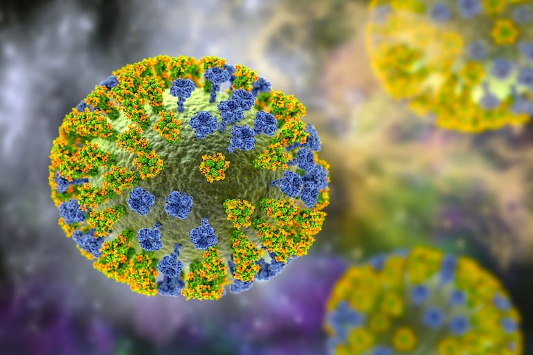 Virus de influenza.