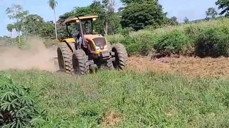 El inicio de la siembra del producto se prevé desde la proxima semana