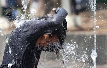 En el 2025, se registraron temperaturas extremas y temporales "sin precedentes".