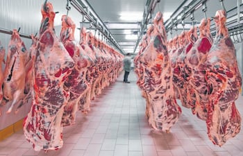 La exportación de animales en pie ya está habilitada, aunque la carne bovina todavía tiene detalles pendientes.