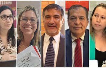 Fiscales electorales