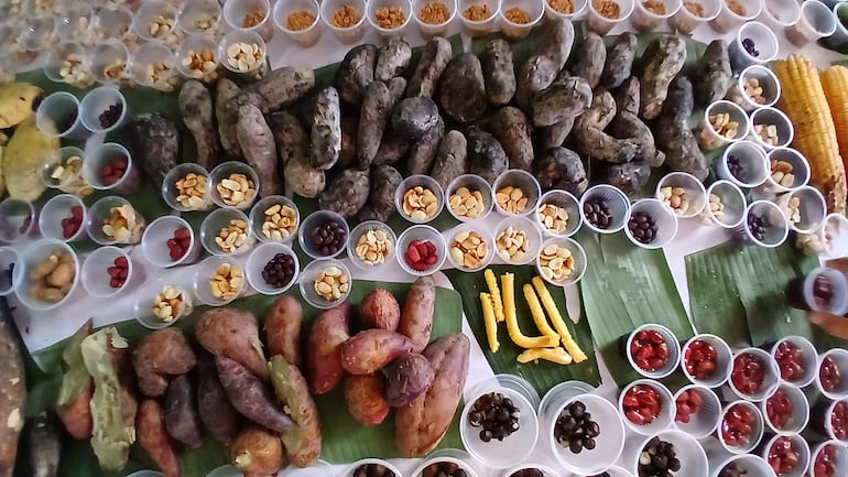 Mesa con variedad de alimentos, incluyendo raíces y semillas en vasos plásticos, presentada en un evento comunitario.