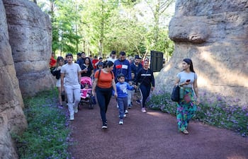 Grupo de 15 personas, incluidos niños, caminan entre vegetación, algunos conversando, otros concentrados en el sendero.