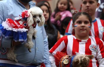 Fotografía que muestra un perro durante el desfile de la celebración del Jagua Patriotaeste jueves, en Asunción (Paraguay).