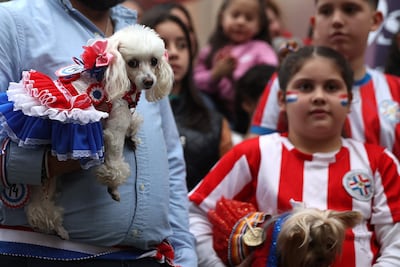 Fotografía que muestra un perro durante el desfile de la celebración del Jagua Patriotaeste jueves, en Asunción (Paraguay).