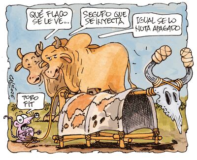 DELGADEZ
