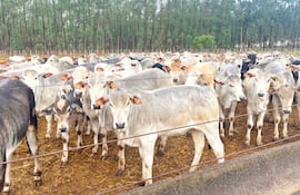 Domingo García: trabajo, familia y visión de desarrollo en Concepción