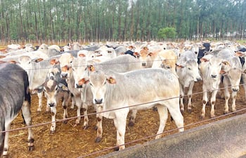 Domingo García: trabajo, familia y visión de desarrollo en Concepción