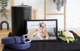 Duelo ante la pérdida de una mascota.