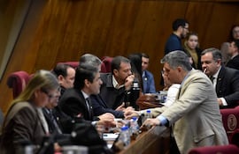 Sesión de la cámara de diputados.