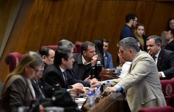 Sesión de la cámara de diputados.