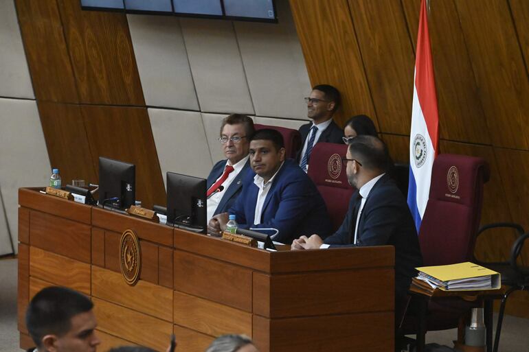 Sesión de la Cámara de Diputados. 