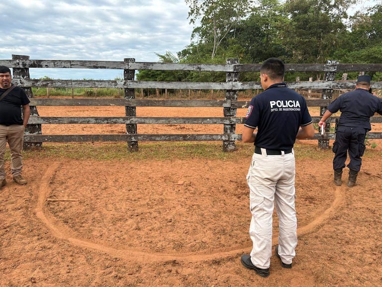 Cuatreros toman de rehén a trabajadores y roban 40 animales en una estancia de San Pedro