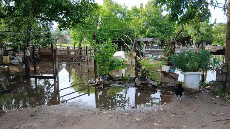 Hombre sentado en silla rodeado de agua, árboles verdes y un gallo, reflejando un ambiente rural inundado.