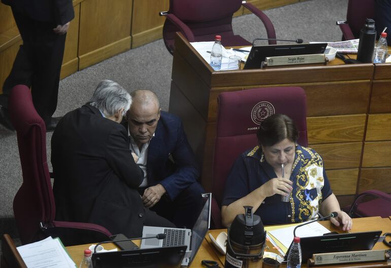 Ignacio Iramain (Ind) habla con Basilio Núñez. La senadora Esperanza Martínez toma tereré. 