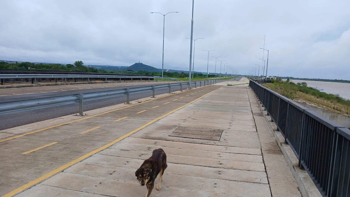 Alerta por tormentas este domingo: ¿Qué departamentos están afectados?