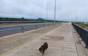 Meteorología anuncia domingo nublado con lluvias y tormentas eléctricas