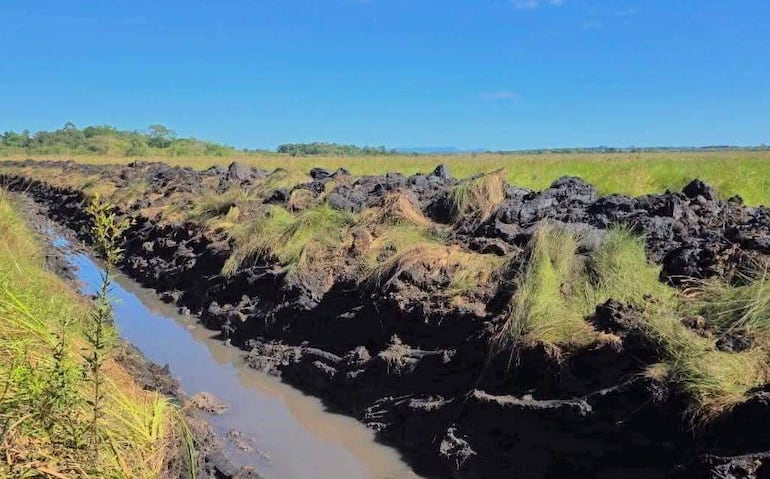 Investigan presunto daño ambiental y supuesta canalización irregular en humedal de Paso Yobái