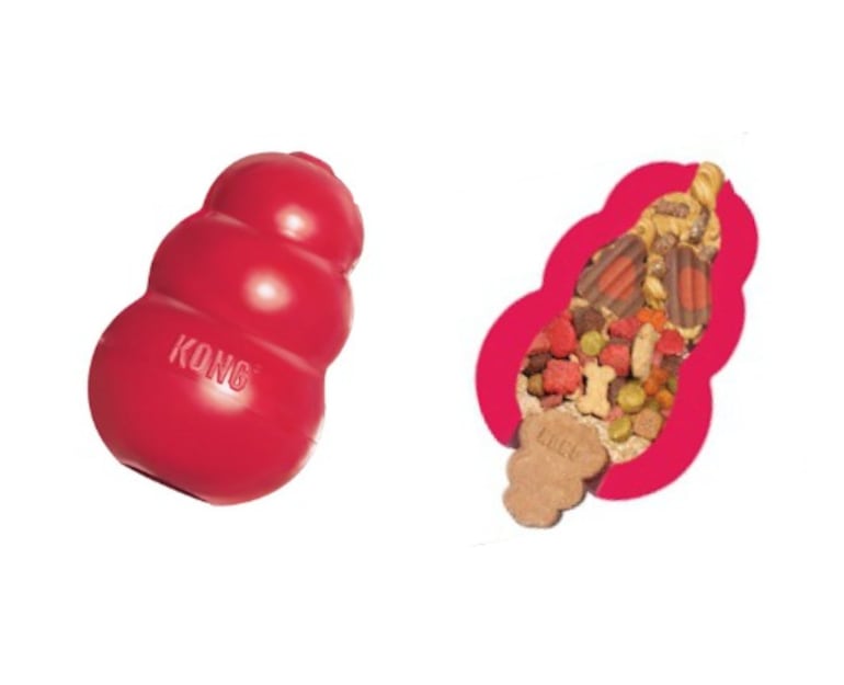 "Kong", juguete didáctico para canes.