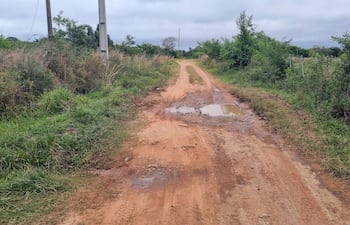 Camino de tierra marrón deteriorado en un entorno rural, rodeado de vegetación y con cielo nublado.