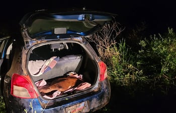El automóvil quedó abandonado detrás de unos los retiros de la estancia de Santa Bárbara, Mbocayaty, donde irrumpieron los maleantes para escapar. La Fiscalía investiga un supuesto caso de abigeato.