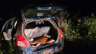 El automóvil quedó abandonado detrás de unos los retiros de la estancia de Santa Bárbara, Mbocayaty, donde irrumpieron los maleantes para escapar. La Fiscalía investiga un supuesto caso de abigeato.
