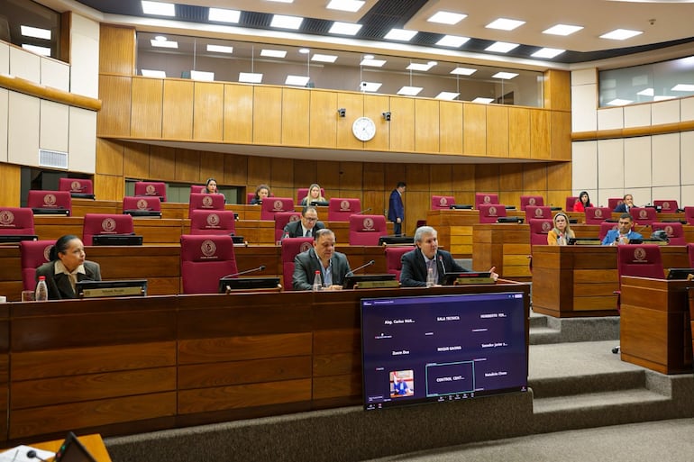 Comisión posterga ley que busca habilitar a Cartes y Nicanor como senadores activos