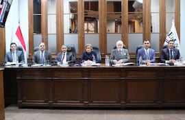 La presidenta del JEM, Alicia Pucheta (c), el vicepresidente 1° y ministro de la Corte Manuel Dejesús Ramírez Candia (i), el vicepresidente 2° y ministro de la Corte César Antonio Garay Zuccolillo (d), los diputados Alejandro Aguilera (i) (ANR-HC) y Diego Candia (d) (ANR-HC); así como los senadores Mario Varela (i) (ANR-Abdista) y Pedro “Pipó” Díaz Verón (d) (ANR-HC), así como el consejero Enrique Berni (ANR-HC), quien participó por medios telemáticos.