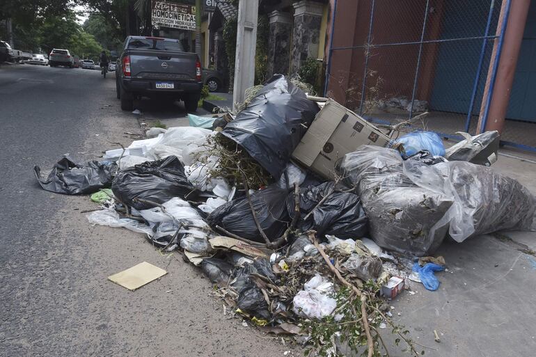 Basuras no recolectada sobre la avenida José Asunción Flores.