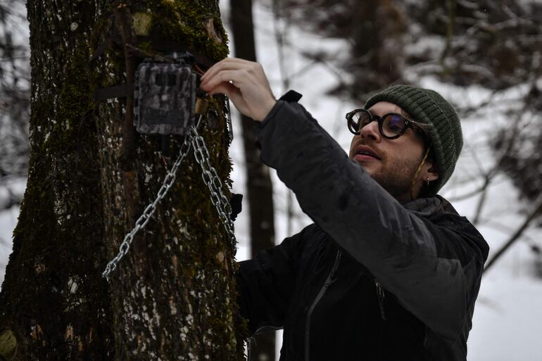 El biólogo Marco Granata revisa una cámara trampa utilizada para monitorear pequeños mustélidos, como los armiños, en su hábitat natural, en el Parque Natural de los Alpes Marítimos, en Entracque, en el noroeste de Italia, el 22 de diciembre de 2025.