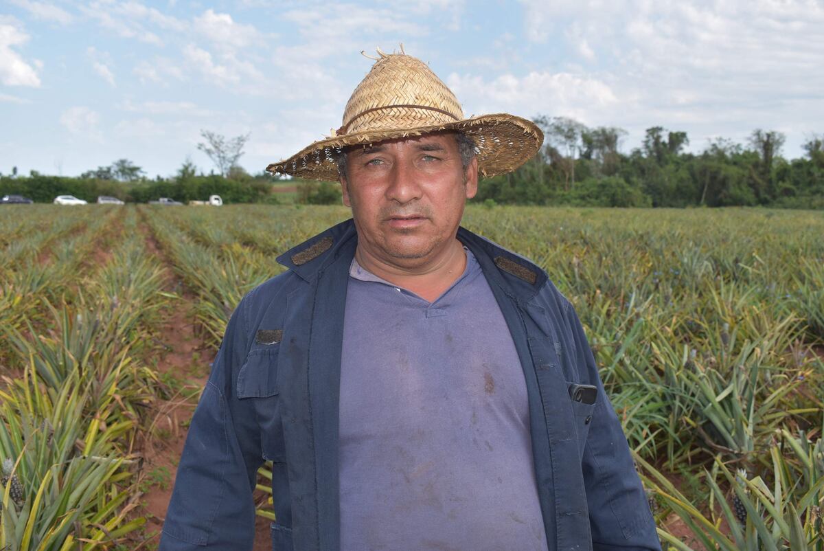 Guajayvi: Productores denuncian presunto delito contra el medio ambiente