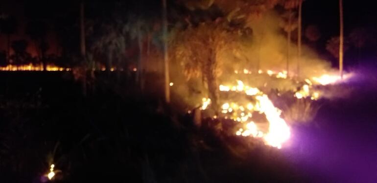 Llamas consumen pastizales en el kilómetro 92 de la ruta Transchaco.