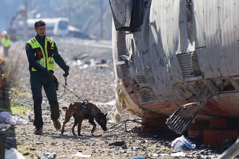 Un agente de la Guardia Civil rastrea con un perro los vagones siniestrados del accidente ferroviario en Adamuz (Córdoba) del pasado domingo.