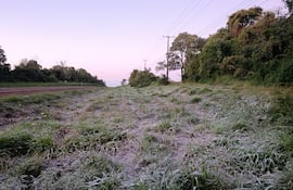 Heladas y escarchas en Itapúa en el amanecer del día de San Juan