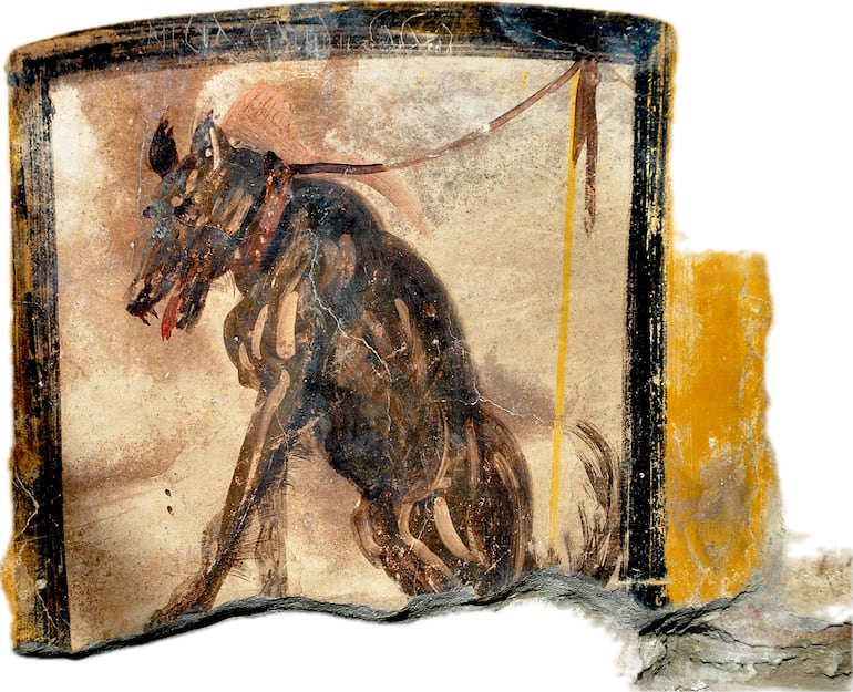 Este inquietante fresco fue fotografiado en las ruinas de Pompeya. La pintura muestra a un feroz perro guardián, atado y alerta, advirtiendo a los intrusos con la ya icónica inscripción “CAVE CANEM” — “Cuidado con el perro”.