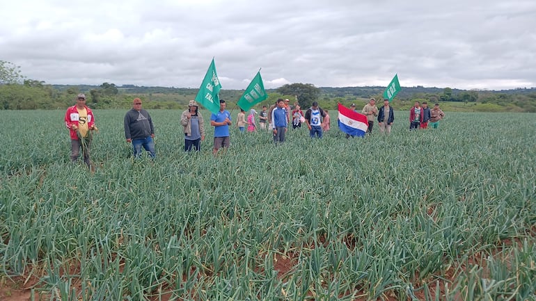 Grupo de productores con banderas verdes en un campo de cebollas, bajo un cielo nublado, algunos visten gorras y camisetas.